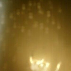 Only 20 calories Goddess luxury beauty diet cookie